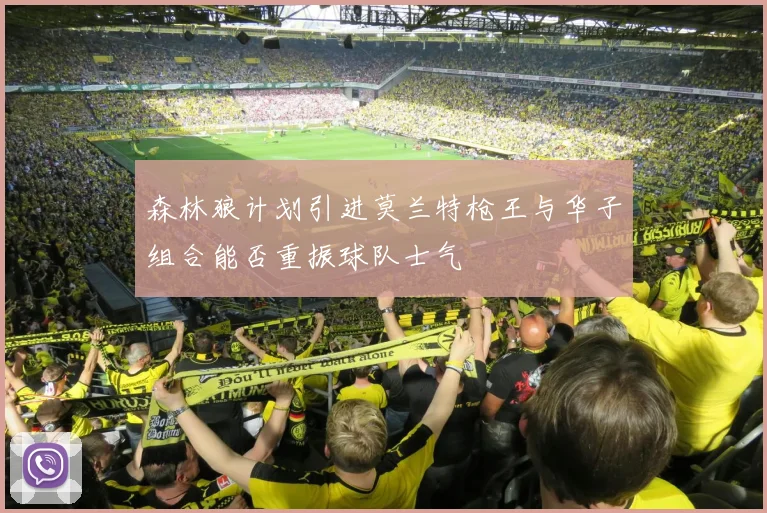 森林狼计划引进莫兰特枪王与华子组合能否重振球队士气