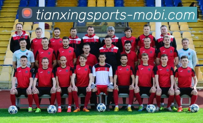 天行体育平台生态图