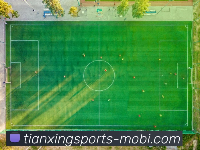 天行体育APP 封面图